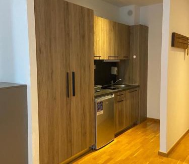 Kopaonik Apartamento | SKI GONDOLA & FREE PARKING apartment