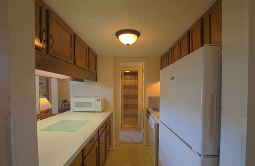 Mount Jackson Condominio | Ski/MTB/Golf Condo (#132) - Slope side | Mountain, golf course views | Vaulted ceilings!