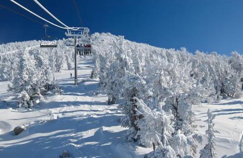 Mammoth Lakes Apartamento | Ski Run Villas 8