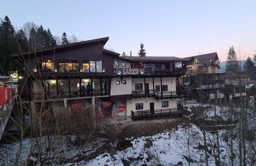 Busteni Apartamento | Ski Top Busteni