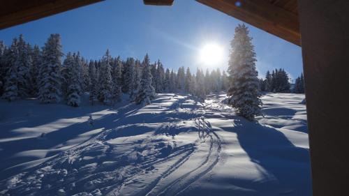 Hochkrimml Apartamento | Skihütte Lang