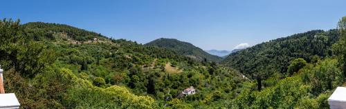 Skopelos Villa | Skopelos Country Villas