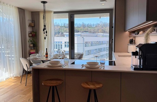 Ljubljana City Centre Apartamento | Skyline Penthouse Retreat Luxury in Ljubljana