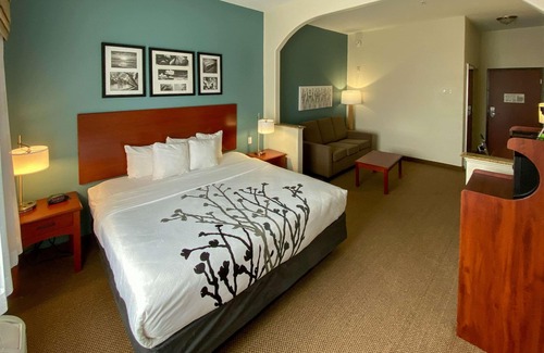 Pearland Hotel | Sleep Inn And Suites Pearland - Houston South