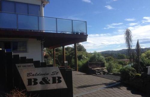 Dunedin Cama Y Desayuno | Sleep on the Steepest Street in the World!