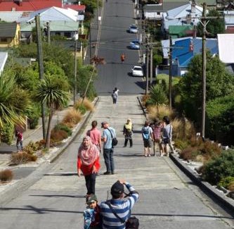 Dunedin Cama Y Desayuno | Sleep on the Steepest Street in the World!