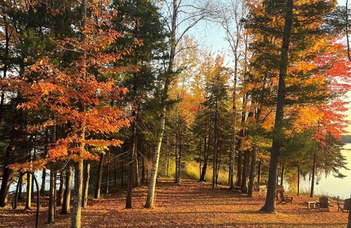 Butternut Casa | Slice of Heaven with 3,000' Shoreline on the "Crown Jewel" in the Northwoods