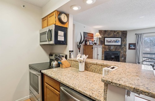 Northface Condominio | Slopeside D203. The perfect location for your next ski vacation!