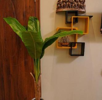 Mangalore Casa | SM Stay Inn