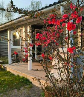 Kaldred Casa | Small Cottage Near Vesterlyng Beach