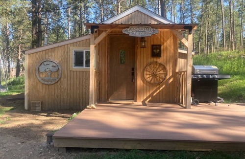 Custer Cabina | SMALL COZY CABIN ON PRIVATE PROPERTY