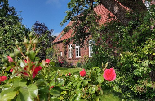Butjadingen Cabaña | Small farmhouse from 1927 with 1,600 sqm garden plot, 3 kilometers to the dike