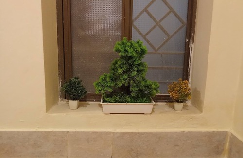 Multan Casa | Small Furnished Home With One Large Bedroom