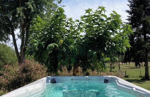 Seignosse Cabaña | Small house in the heart of a natural area, 10 minutes from golf courses, beaches, ...