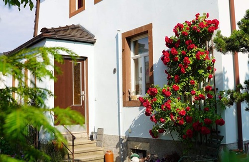 Oberloßnitz Apartamento | Pequeño oasis en Radebeul (para 4 personas)