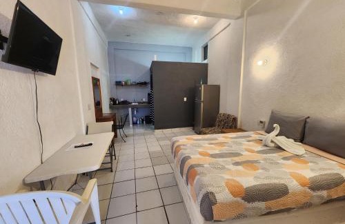 Lazaro Cardenas Apartamento | Small studio APT 5min to DT!