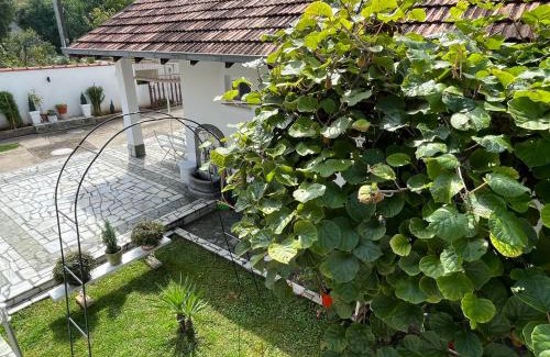 Niska Banja Casa | Smeštaj Pejčić