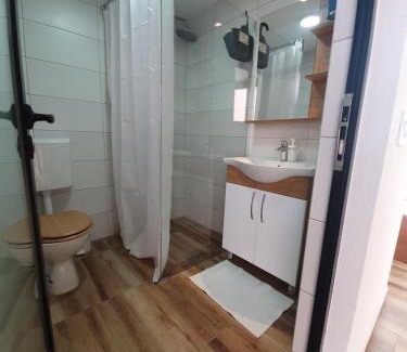 Central Serbia Apartamento | Smeštaj Skuratenko