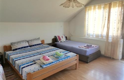 Golubac Apartamento | Smeštaj Urošević