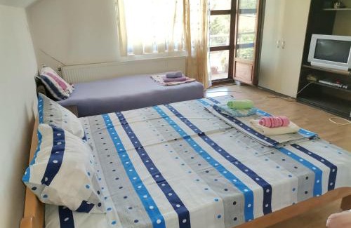 Golubac Apartamento | Smeštaj Urošević