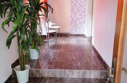 Palic Casa | Smestaj u okviru domacinstva SOBE SOSA