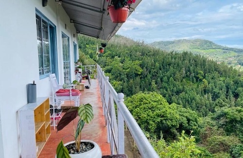 Wellington Casa | Smoking Hill