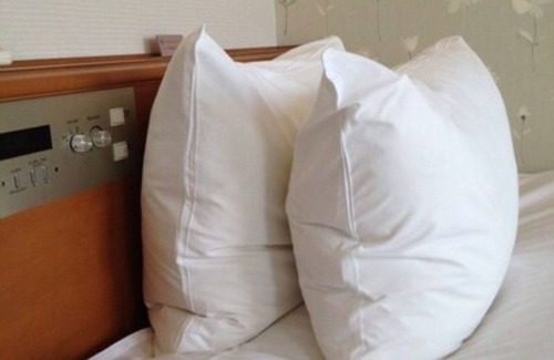 Yoshioka Onsen Hotel | Smoking Main building economy single room onl / Tottori Tottori