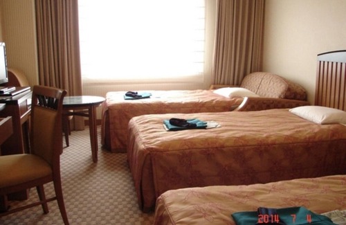 Tono Hotel | Smoking Triple for VS | Easy About 40 types / Tono Iwate