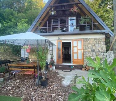 Stari Slankamen Apartamento | Smokvica