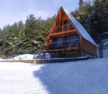 Kazbegi Casa | Sno Woodland