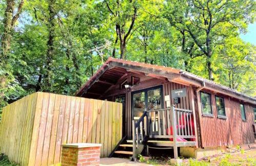 Llanybri Chalet De Esquí | Snowdrop 9 Hot Tub-Woodlandlodges-Pembrokeshire