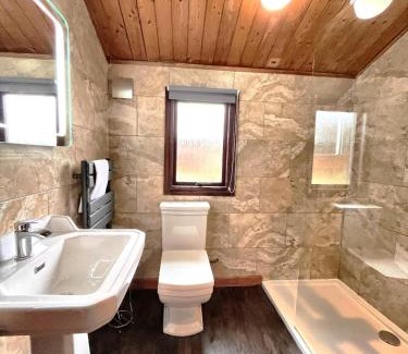 Llanybri Chalet De Esquí | Snowdrop 9 Hot Tub-Woodlandlodges-Pembrokeshire