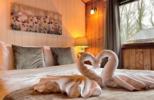 Llanybri Chalet De Esquí | Snowdrop 9 Hot Tub-Woodlandlodges-Pembrokeshire