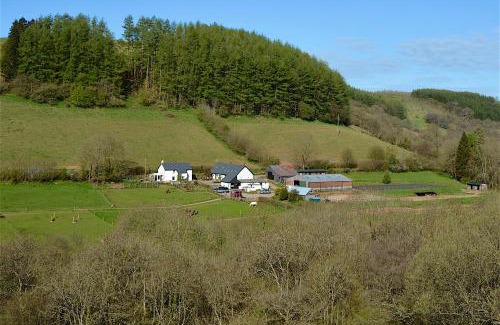 Trecastle Apartamento | Snug Oak Hut with a view on a Welsh Hill Farm