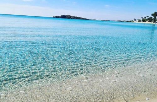 Ayia Napa Complejo | So White Beach Resort