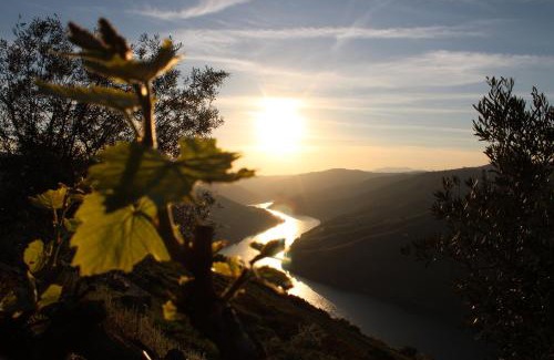 Valenca do Douro Casa | Socalcos do Douro House