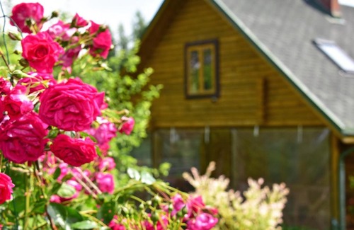 Alytus county Apartamento | Sodyba “Rita”