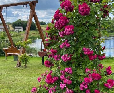 Vilnius County Villa | Sodyba Villa Lotus, 25min nuo Vilniaus Oro Uosto