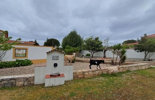 Fatima Apartamento | Sol-Lua House apt