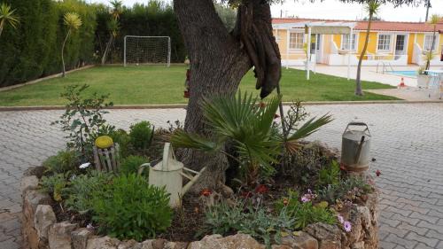 Albufeira Casa | SOLAR DOS AVÓS
