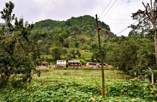 Kathmandu Hotel | Solid Rock - Lodge & Restaurant