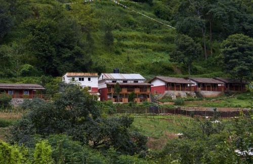 Kathmandu Hotel | Solid Rock - Lodge & Restaurant