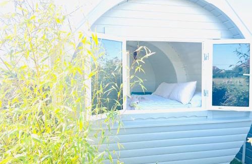 Morpeth Casa | Solo Glamping Pod - Sleeps 4 - Northumberland