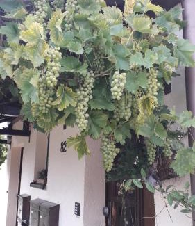 Hinterhermsdorf Apartamento | Sommerfrische