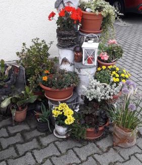 Hinterhermsdorf Apartamento | Sommerfrische