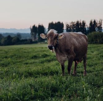 Wiggensbach Apartamento | sona Suites Allgäu - Sauna, Whirlpool & Alpenblick