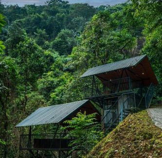Elappara Complejo | Song Of The Trees Nature Stay Kutitkanam by LexStays