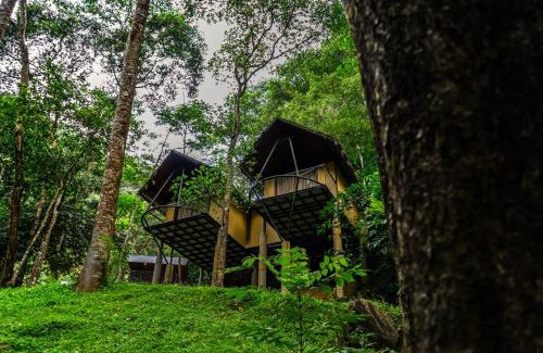 Elappara Complejo | Song Of The Trees Nature Stay Kutitkanam by LexStays