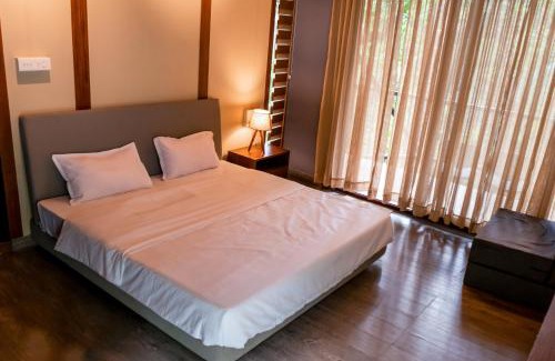 Elappara Complejo | Song Of The Trees Nature Stay Kutitkanam by LexStays