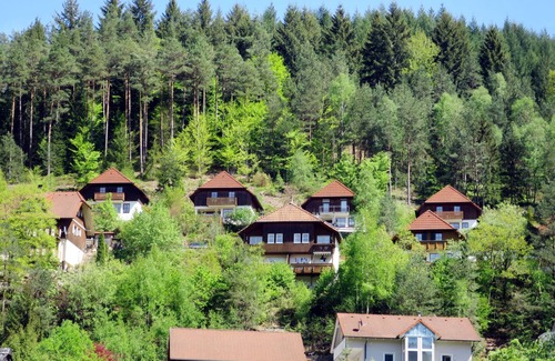 Hornberg Casa | Sonnenschein by Interhome